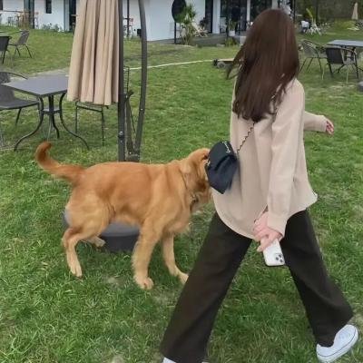 圣玛丽矿镇谜案